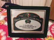 2019 - Jaguar in Friuli (27-28 Aprile) (2/29)
